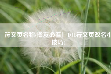 符文页名称(撸友必看！LOL符文页改名小技巧)