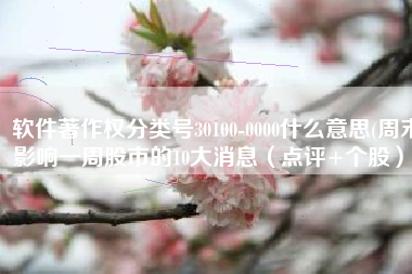 软件著作权分类号30100-0000什么意思(周末影响一周股市的10大消息（点评+个股）)