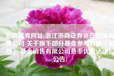 浙商证券网址(浙江浙商证券资产管理有限公司 关于旗下部分基金参与蚂蚁（杭州） 基金销售有限公司费率优惠活动的公告)