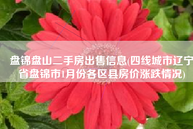 盘锦盘山二手房出售信息(四线城市辽宁省盘锦市1月份各区县房价涨跌情况)