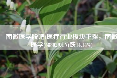 南微医学股吧(医疗行业板块下挫，南微医学(688029.CN)跌14.14%)
