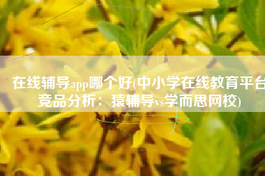 在线辅导app哪个好(中小学在线教育平台竞品分析：猿辅导vs学而思网校)