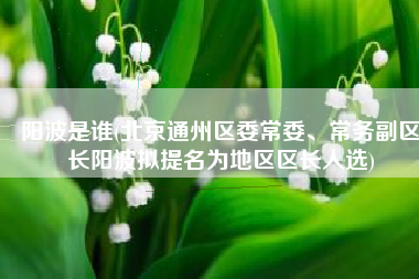 阳波是谁(北京通州区委常委、常务副区长阳波拟提名为地区区长人选)
