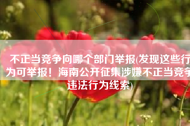 不正当竞争向哪个部门举报(发现这些行为可举报！海南公开征集涉嫌不正当竞争违法行为线索)