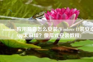 windows应用商店怎么安装(Windows 11装安卓App太麻烦？傻瓜式安装教程)