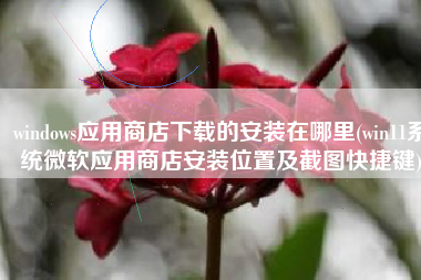 windows应用商店下载的安装在哪里(win11系统微软应用商店安装位置及截图快捷键)