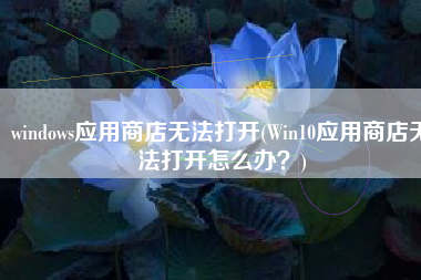windows应用商店无法打开(Win10应用商店无法打开怎么办？)
