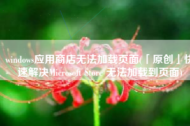 windows应用商店无法加载页面(「原创」快速解决Microsoft Store 无法加载到页面)