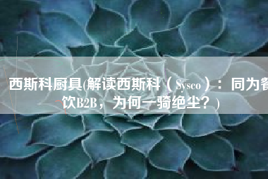 西斯科厨具(解读西斯科（Sysco）：同为餐饮B2B，为何一骑绝尘？)