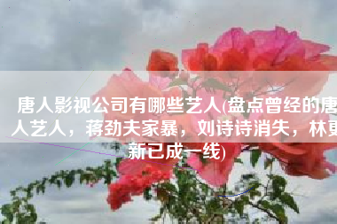 唐人影视公司有哪些艺人(盘点曾经的唐人艺人，蒋劲夫家暴，刘诗诗消失，林更新已成一线)