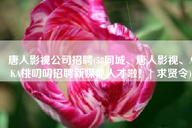 唐人影视公司招聘(58同城、唐人影视、AKA桃叨叨招聘新媒体人才啦！| 求贤令)