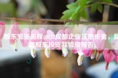 股东验资流程(2022成都企业注册资金，新增股东投资款验资报告)