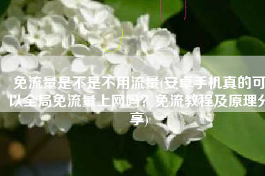 免流量是不是不用流量(安卓手机真的可以全局免流量上网吗？免流教程及原理分享)