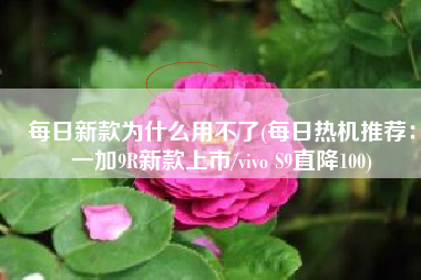 每日新款为什么用不了(每日热机推荐：一加9R新款上市/vivo S9直降100)