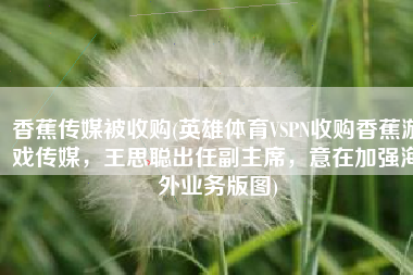 香蕉传媒被收购(英雄体育VSPN收购香蕉游戏传媒，王思聪出任副主席，意在加强海外业务版图)