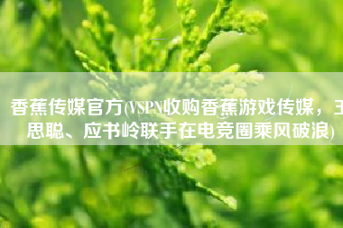香蕉传媒官方(VSPN收购香蕉游戏传媒，王思聪、应书岭联手在电竞圈乘风破浪)
