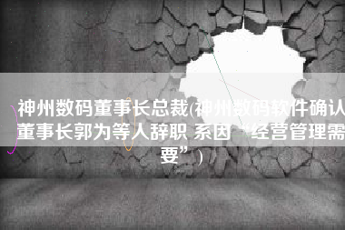 神州数码董事长总裁(神州数码软件确认董事长郭为等人辞职 系因“经营管理需要”)