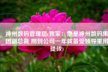 神州数码管理层(独家：他是神州数码集团副总裁 刚到公司一年就备受领导重用提拔)