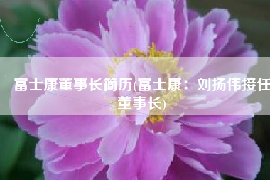 富士康董事长简历(富士康：刘扬伟接任董事长)