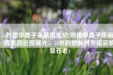 刘德华妻子朱丽倩年纪(刘德华妻子朱丽倩素颜近照曝光，53岁的她身材发福容貌显苍老)