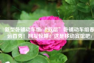 新型卧铺动车组(“双层”卧铺动车组春运首秀！网友惊呼：这是移动宾馆吧)