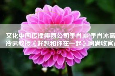 文化中国传播集团公司季肖冰(季肖冰高冷男教授《好想和你在一起》圆满收官)