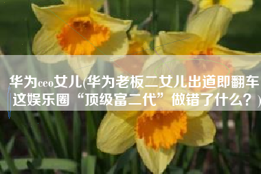 华为ceo女儿(华为老板二女儿出道即翻车，这娱乐圈“顶级富二代”做错了什么？)