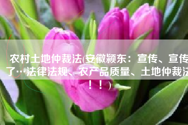 农村土地仲裁法(安徽颍东：宣传、宣传了…法律法规、农产品质量、土地仲裁法！！)