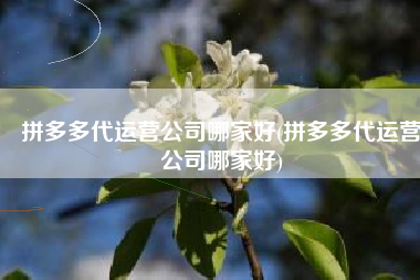 拼多多代运营公司哪家好(拼多多代运营公司哪家好)