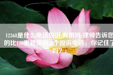 12368是什么电话投诉,有用吗(律师告诉您的比110更管用的16个投诉电话，你记住了吗？)