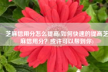 芝麻信用分怎么提高(如何快速的提高芝麻信用分？或许可以帮到你)