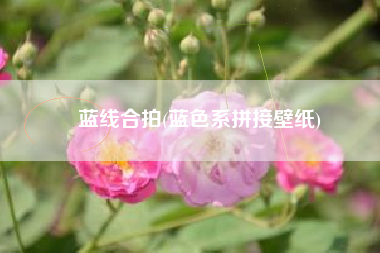 蓝线合拍(蓝色系拼接壁纸)
