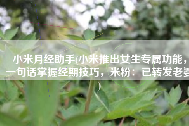 小米月经助手(小米推出女生专属功能，一句话掌握经期技巧，米粉：已转发老婆)