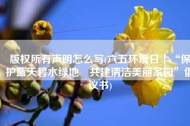 版权所有声明怎么写(六五环境日｜“保护蓝天碧水绿地 共建清洁美丽家园”倡议书)
