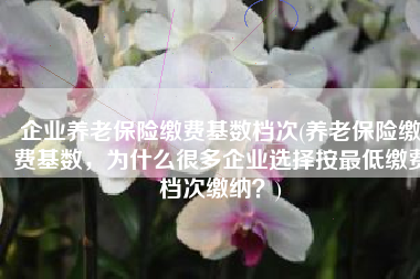 企业养老保险缴费基数档次(养老保险缴费基数，为什么很多企业选择按最低缴费档次缴纳？)