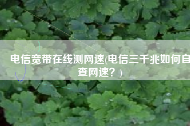 电信宽带在线测网速(电信三千兆如何自查网速？)