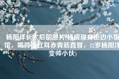 杨阳洋长大后的照片(杨威现身街边小饭馆，喝得面红耳赤青筋直冒，12岁杨阳洋变帅小伙)