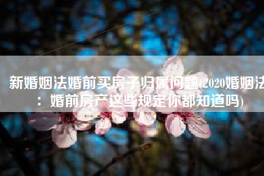 新婚姻法婚前买房子归属问题(2020婚姻法：婚前房产这些规定你都知道吗)