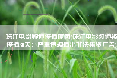 珠江电影频道停播原因(珠江电影频道被停播30天：严重违规播出非法集资广告)
