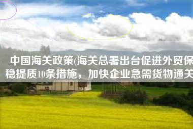 中国海关政策(海关总署出台促进外贸保稳提质10条措施，加快企业急需货物通关)