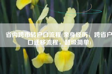 省内跨市转户口流程(亲身经历，跨省户口迁移流程，超级简单)