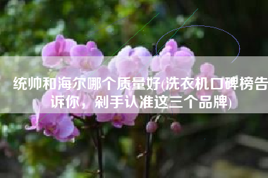 统帅和海尔哪个质量好(洗衣机口碑榜告诉你，剁手认准这三个品牌)