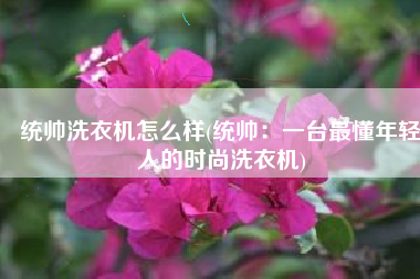 统帅洗衣机怎么样(统帅：一台最懂年轻人的时尚洗衣机)