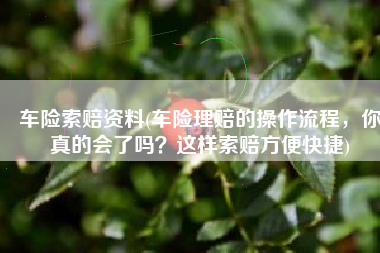 车险索赔资料(车险理赔的操作流程，你真的会了吗？这样索赔方便快捷)