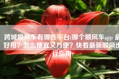 跨城顺风车有哪些平台(哪个顺风车app 最好用？怎么便宜又方便？快看最新顺风出行指南)