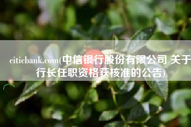 citicbank.com(中信银行股份有限公司 关于行长任职资格获核准的公告)