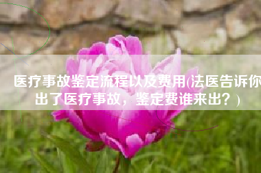 医疗事故鉴定流程以及费用(法医告诉你出了医疗事故，鉴定费谁来出？)