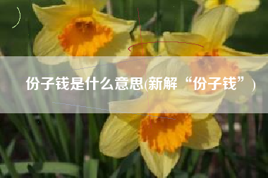 份子钱是什么意思(新解“份子钱”)