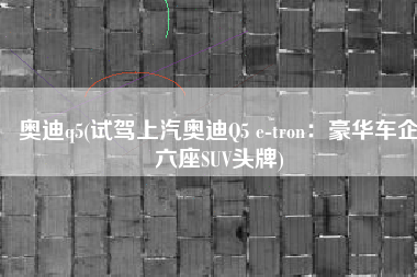 奥迪q5(试驾上汽奥迪Q5 e-tron：豪华车企六座SUV头牌)