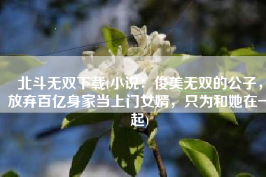 北斗无双下载(小说：俊美无双的公子，放弃百亿身家当上门女婿，只为和她在一起)